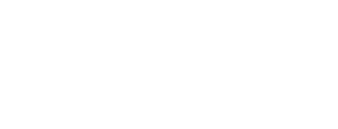 Pizza48