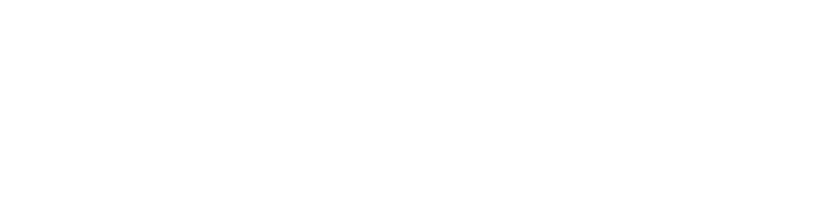 Avocado Sushi