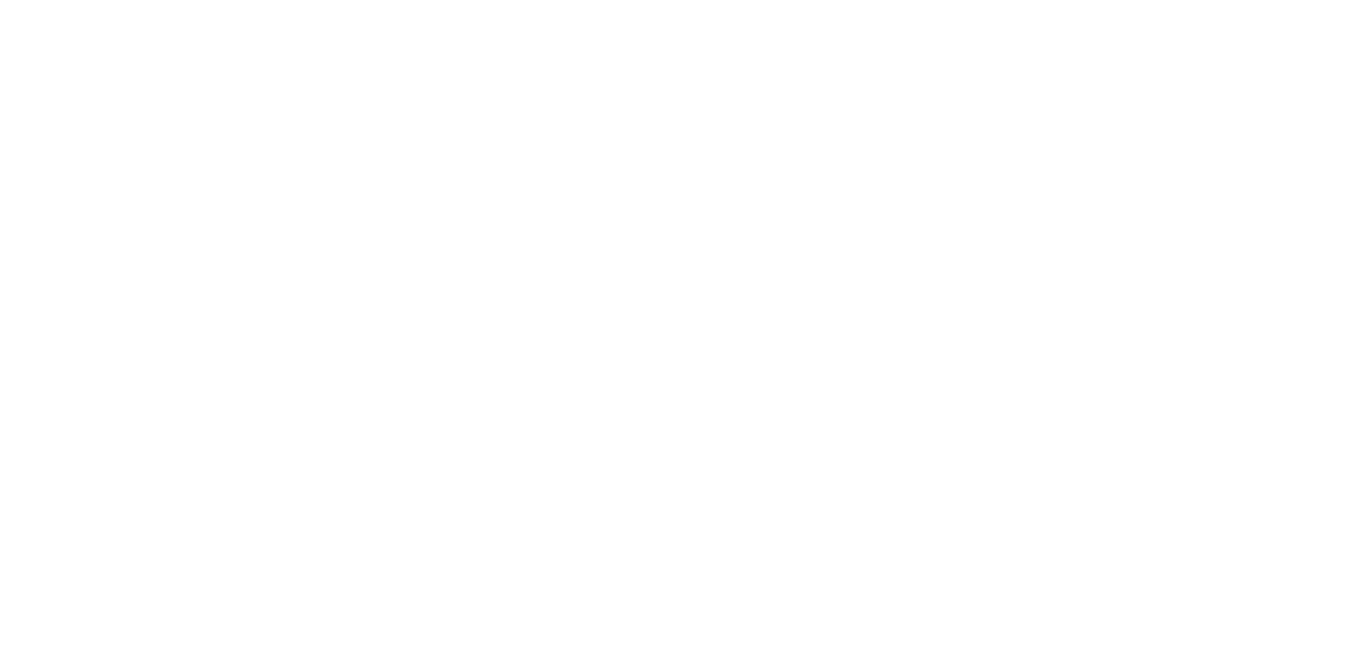Pizza Sushi 48